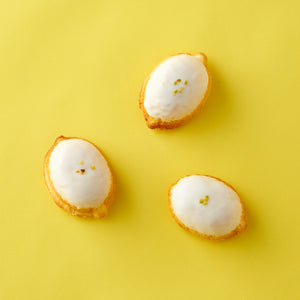 週末シトロネードセット(週末シトロネード1本・週末シトロン5個)